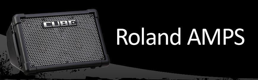 Roland - theguitarstoreonline