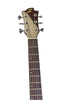 Sevinia W41C Dreadnought Electro with Solid Spruce, Mahogany Back and Sides
