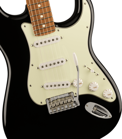 Fender Dealer Edition Player Stratocaster SSS Pau Ferro Parchment PG in Black