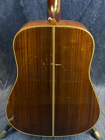 Auden Artist Rosewood Colton Model Spruce Top Full Body in Hard Case
