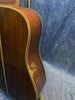Auden Artist Rosewood Colton Model Spruce Top Full Body in Hard Case