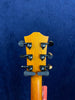Bromo Appalachia Series Acoustic Guitar Auditorium - BAA2