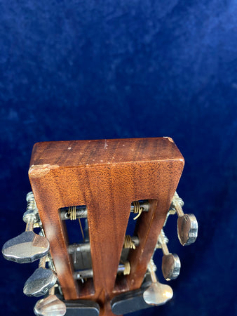 Sigma 000M-1S 12 Fret Acoustic Fishman All Mahogany Pre-owned