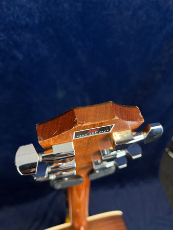 Taylor 210 Dreadnought with Seymour Duncan in Natural with Hard Case