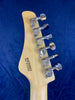 FGN Boundary ST HSS Rosewood Fretboard in Mint Blue