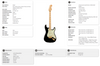 Fender Dealer Edition Player Strat in Black with Maple Neck & Gold Hardware