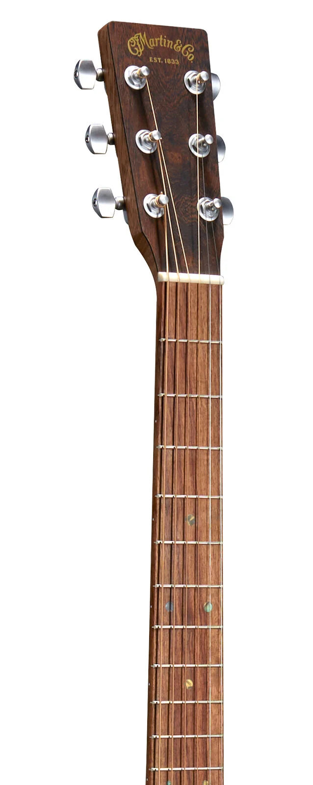 Martin & Co. acoustic guitar headstock and neck in brown wood, six silver tuning pegs, gold logo, and metal frets with small dot inlays visible.