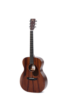Dark brown acoustic guitar with a matte finish, six steel strings, a round sound hole, and a Sigma logo on the headstock.