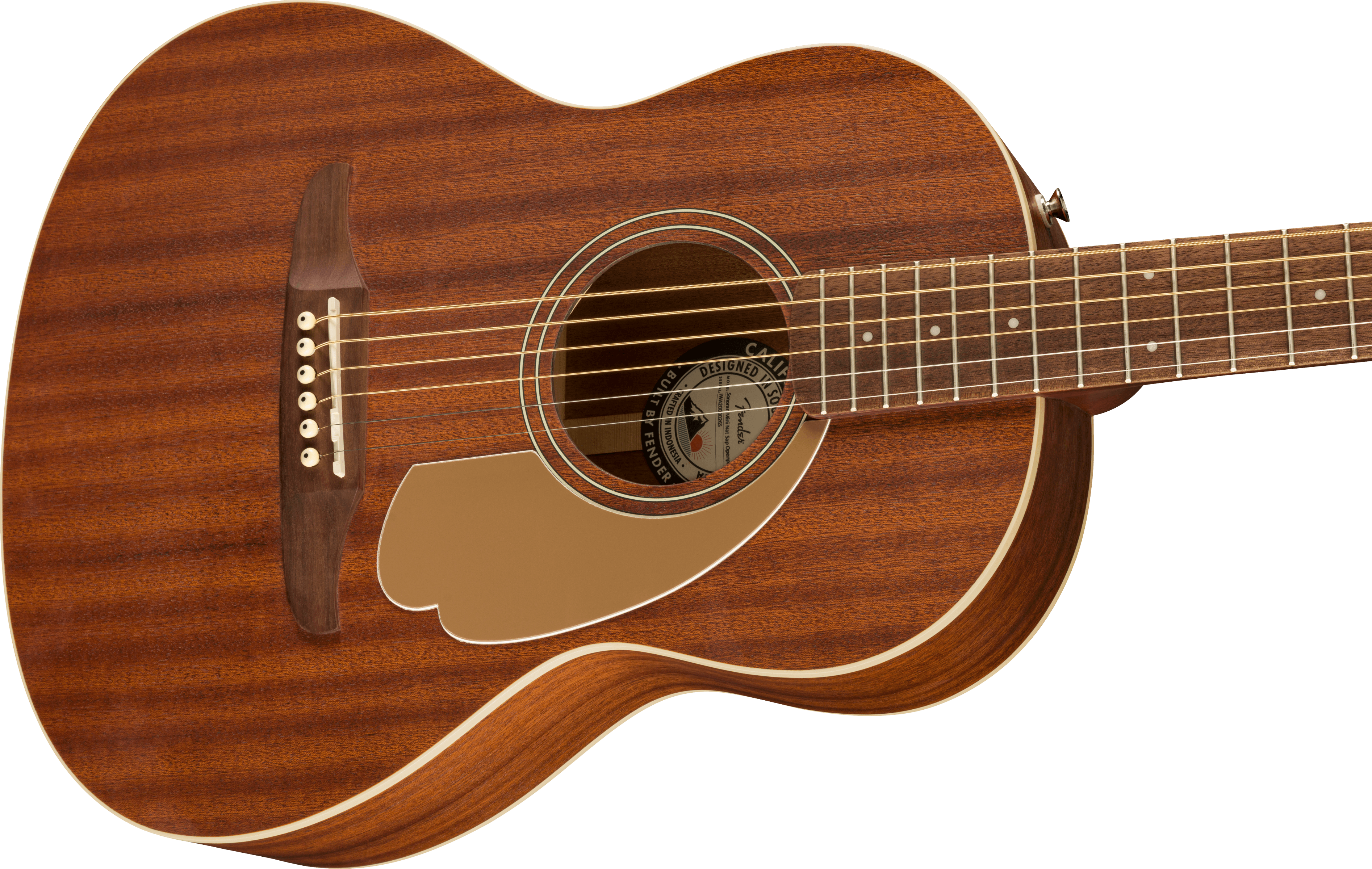 Brown acoustic guitar with a smooth wood grain finish, six strings, cream binding, and a gold pickguard shaped like a flower petal.