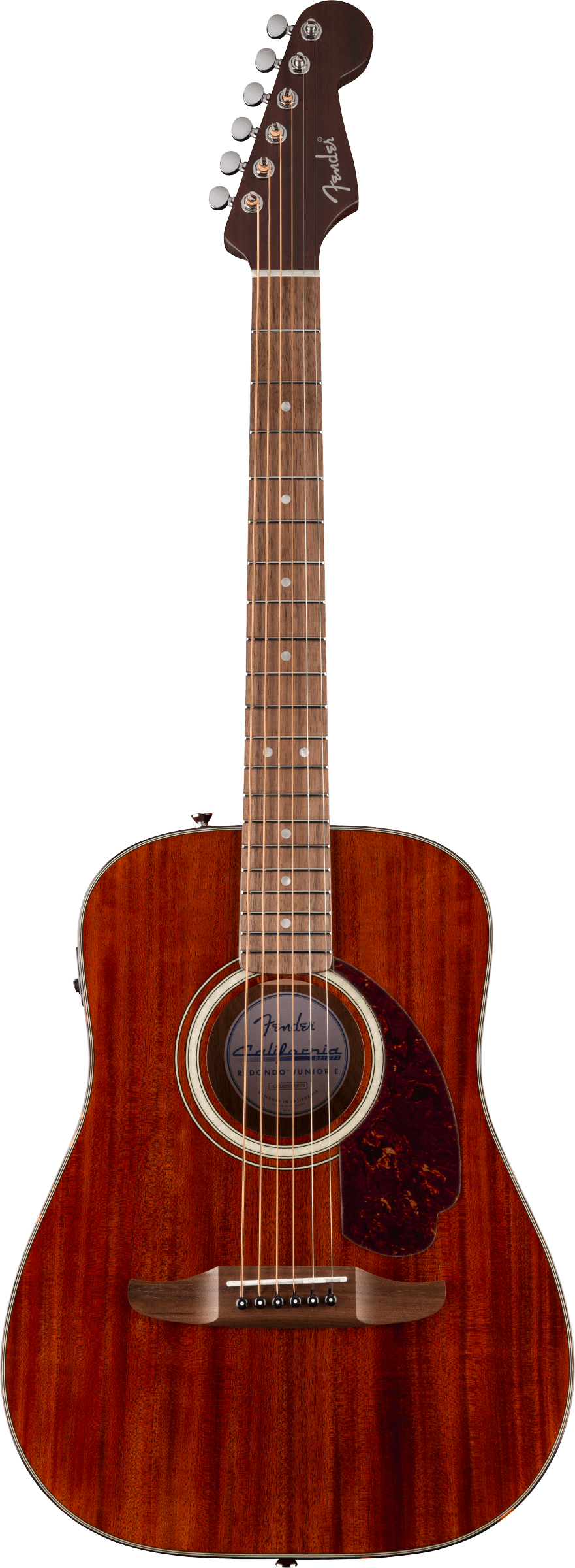 Guitare acoustique en bois foncé avec six cordes, touche en palissandre, rosace claire et pickguard marron foncé sur la table d’harmonie.