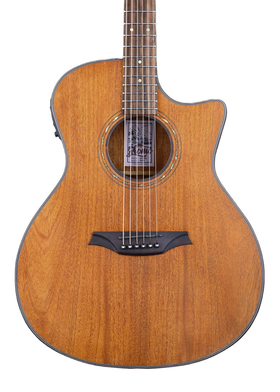 Natural wood acoustic guitar with a cutaway body, six strings, abalone rosette around the sound hole, and a dark wood bridge with white pins.