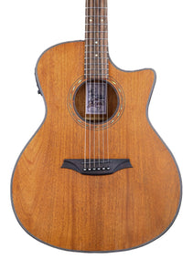 Natural wood acoustic guitar with a cutaway body, six strings, abalone rosette around the sound hole, and a dark wood bridge with white pins.