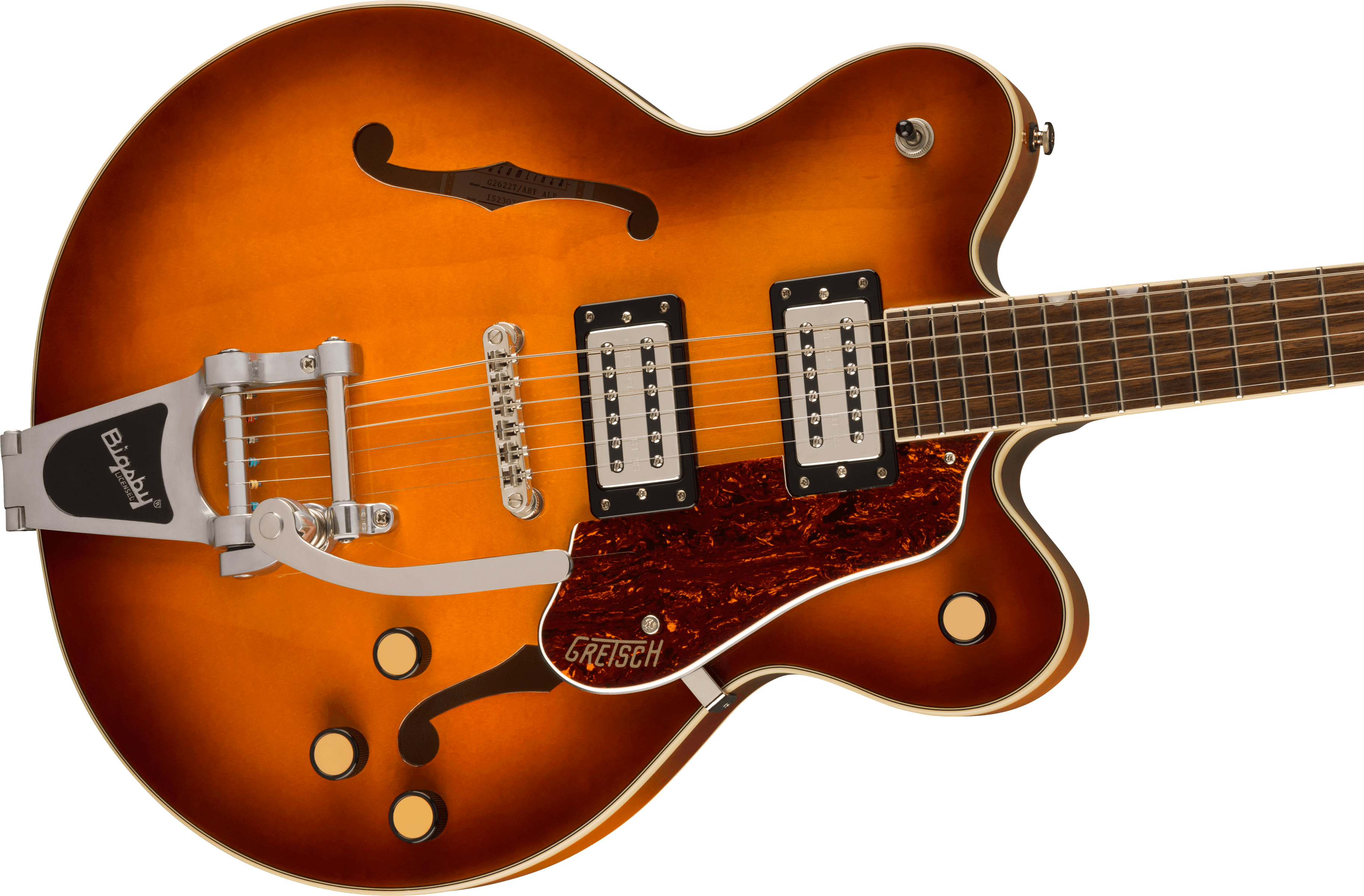 Sunburst semi-hollow electric guitar with two pickups, f-holes, four knobs, Bigsby tremolo, and a brown tortoiseshell pickguard.