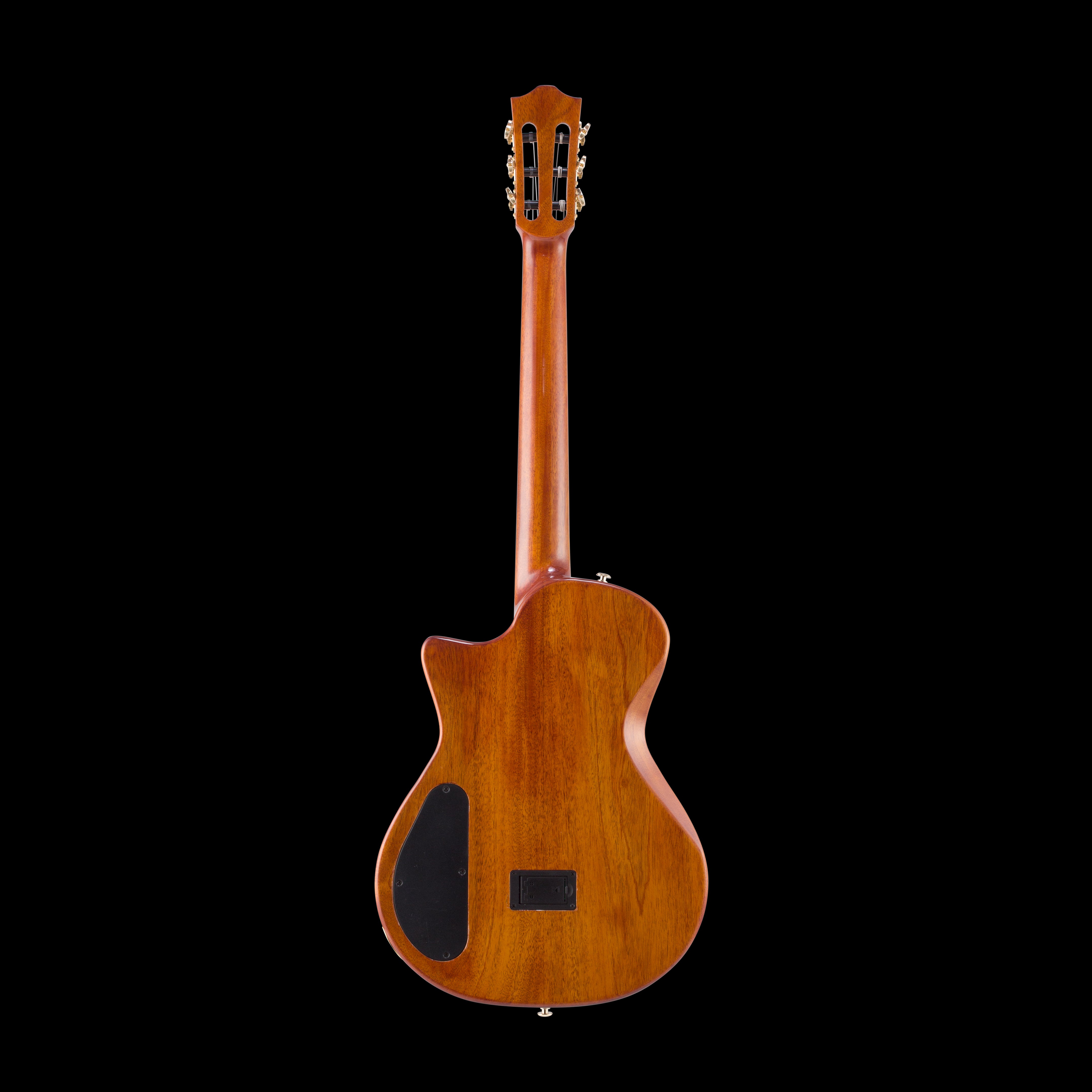 Guitare acoustique vue de dos, en bois brun verni, avec deux plaques noires sur la caisse et des mécaniques dorées sur la tête.