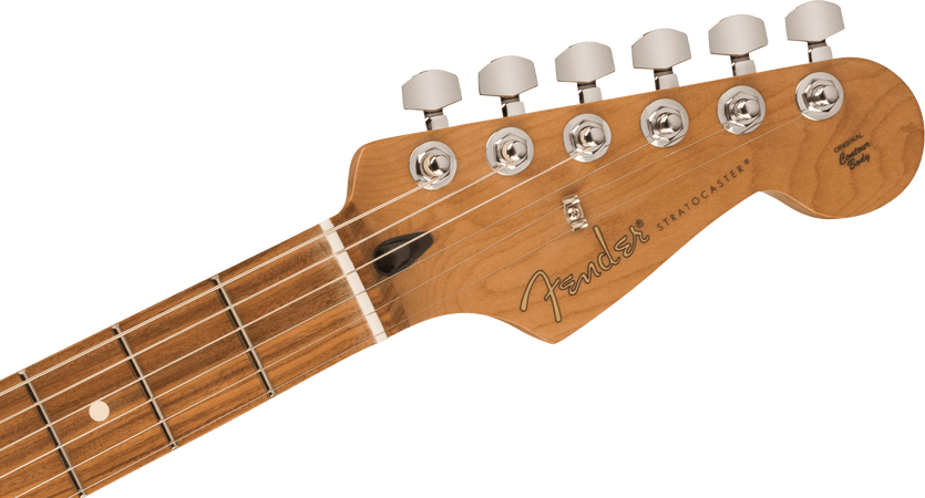 Fender Dealer Edition Player Stratocaster SSS Pau Ferro Parchment PG in Black