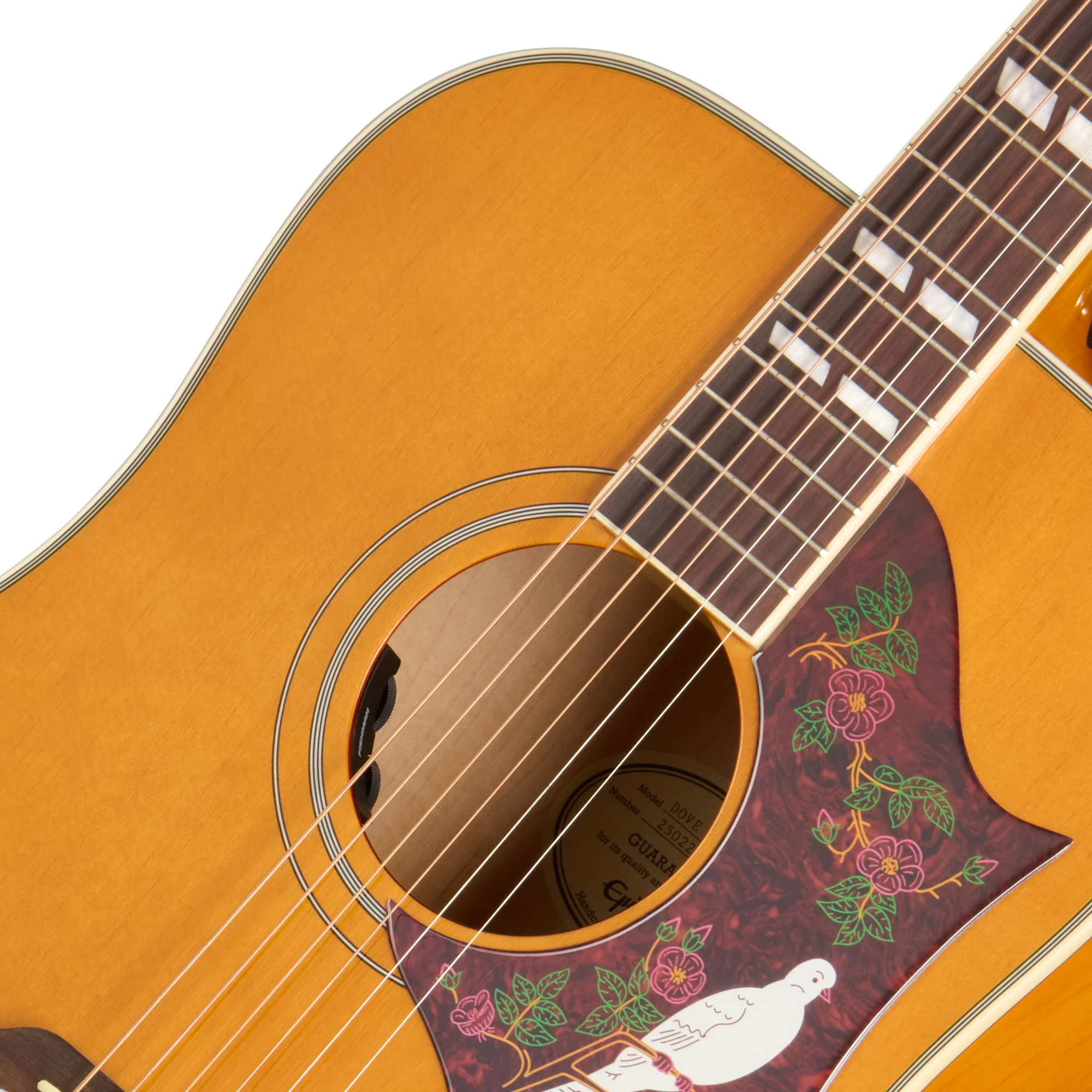 Guitare acoustique en bois clair avec pickguard marron décoré d'une colombe blanche et de motifs floraux verts et roses autour de la rosace.
