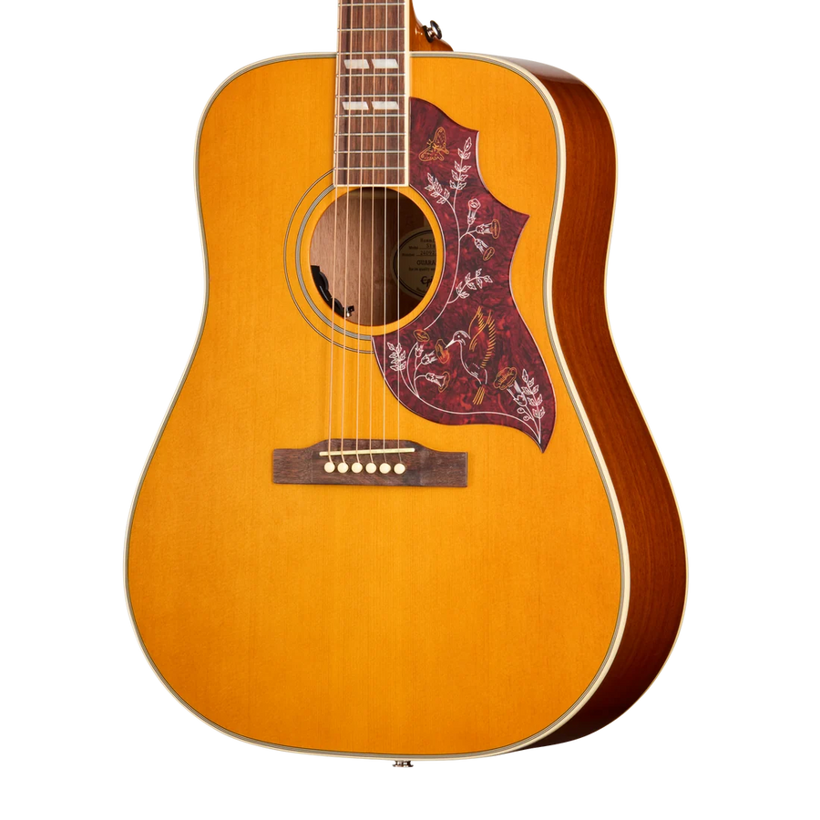 Guitare acoustique à caisse jaune clair, pickguard rouge décoré de dessins d’oiseaux et de feuilles blanches, six cordes, forme dreadnought.