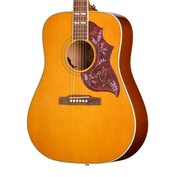 Guitare acoustique à caisse jaune clair, pickguard rouge décoré de dessins d’oiseaux et de feuilles blanches, six cordes, forme dreadnought.