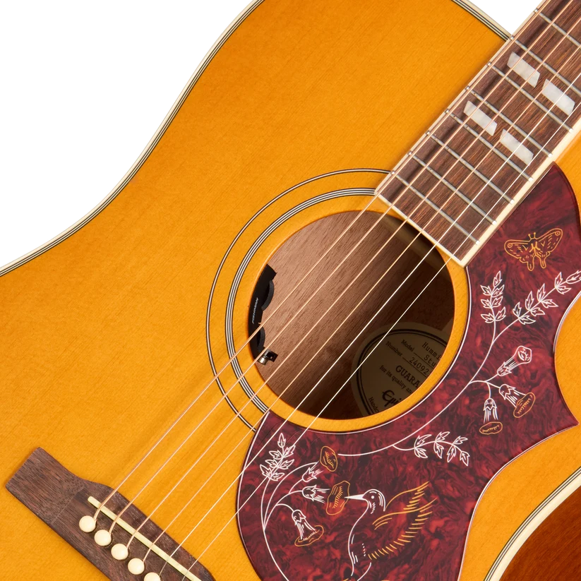 Guitare acoustique en bois clair avec pickguard rouge décoré de motifs floraux, d’un oiseau doré et d’un papillon, six cordes visibles.