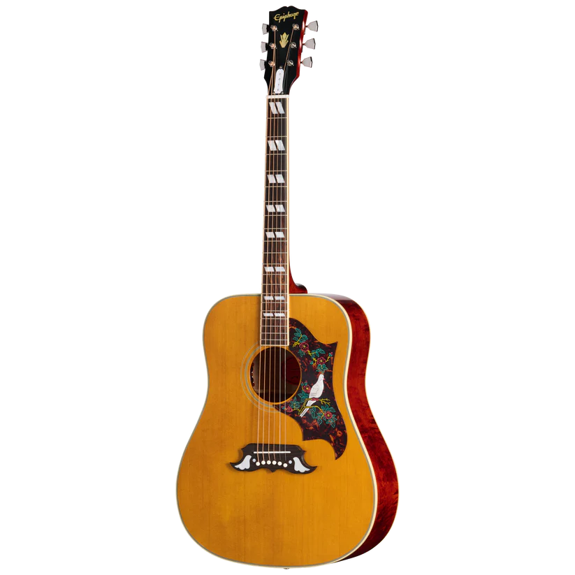 Epiphone acoustic guitar with a natural wood finish, floral pickguard featuring a white bird, and large block inlays on a dark fretboard.