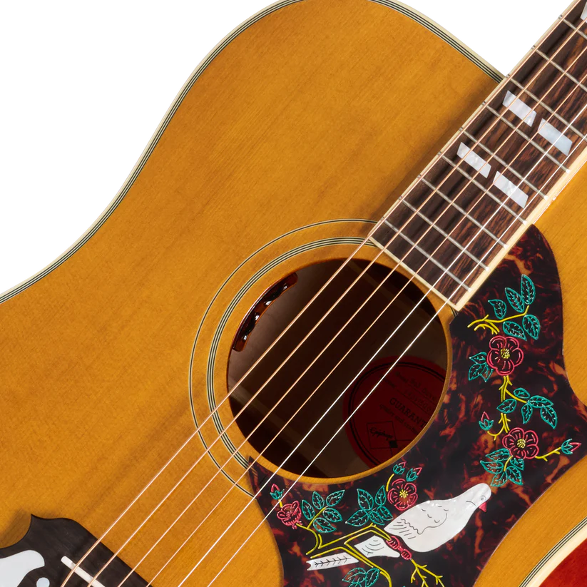 Acoustic guitar close-up showing a natural wood finish and a pickguard decorated with flowers and a white dove.