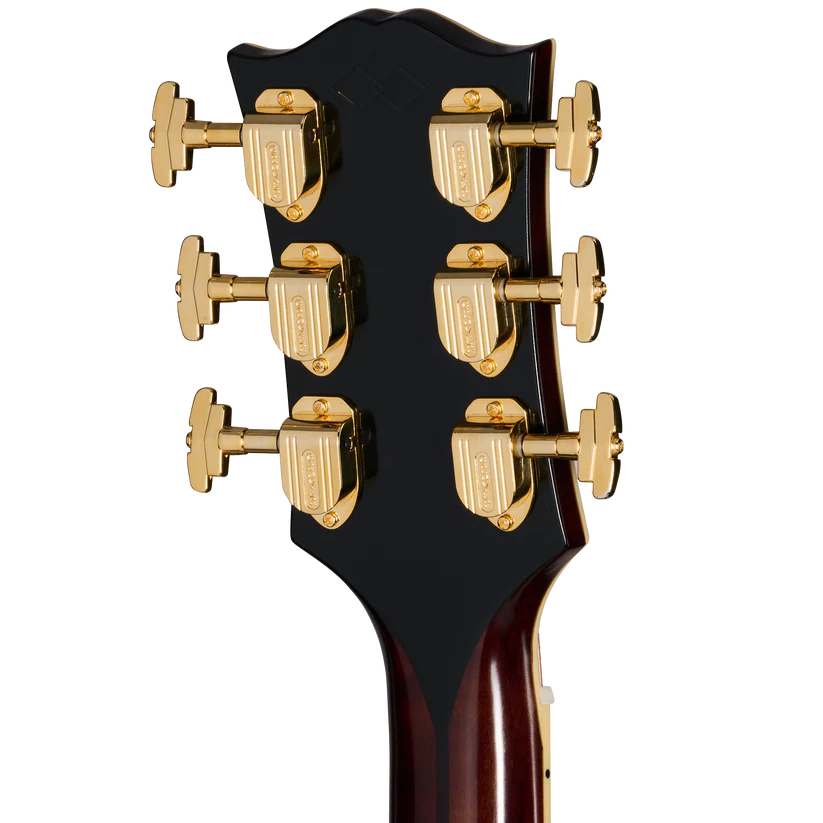 Rear view of an acoustic guitar headstock showing six gold tuning pegs arranged in three pairs on each side.