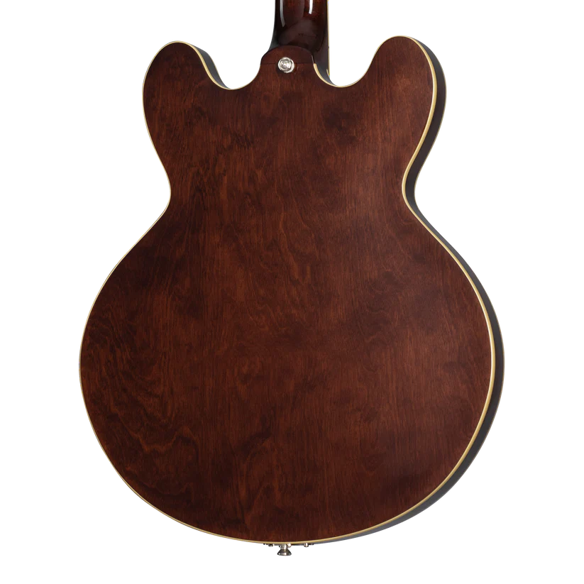 The back of a semi-hollow electric guitar with a dark brown wood finish and cream-colored binding along the edges.