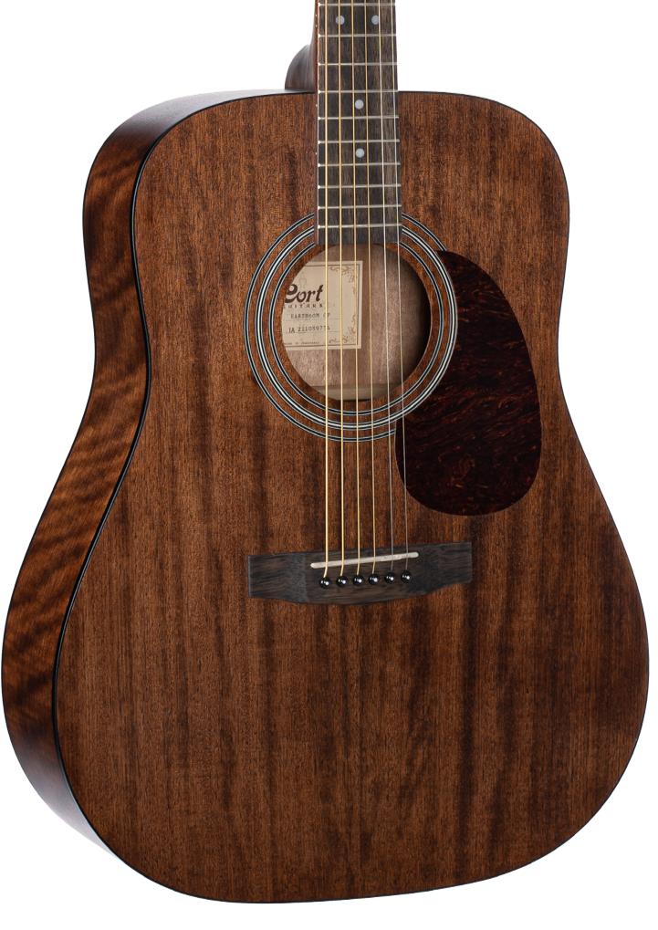 Dreadnought acoustic guitar with a rich, dark brown wood finish, six strings, circular soundhole, and a dark pickguard beside the strings.