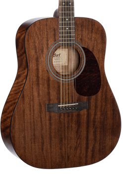 Dreadnought acoustic guitar with a rich, dark brown wood finish, six strings, circular soundhole, and a dark pickguard beside the strings.