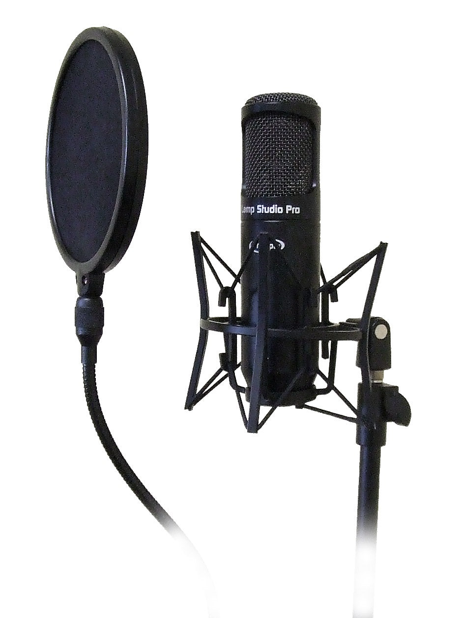 Condenser microphone in a shock mount on a stand with a round pop filter positioned in front, commonly used for studio recording.