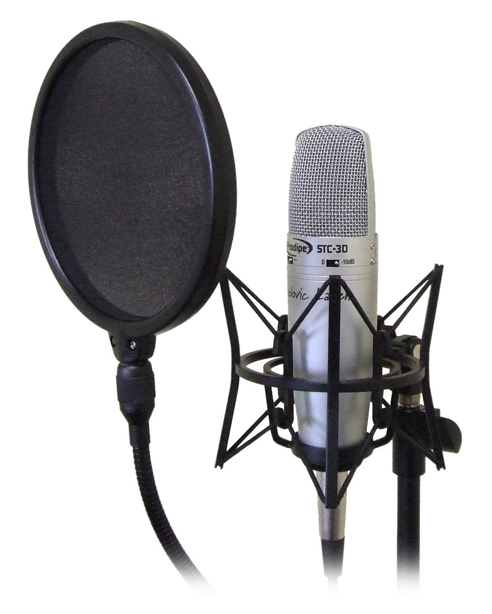Studio recording microphone with a pop filter positioned in front, both mounted on stands for vocal recording.