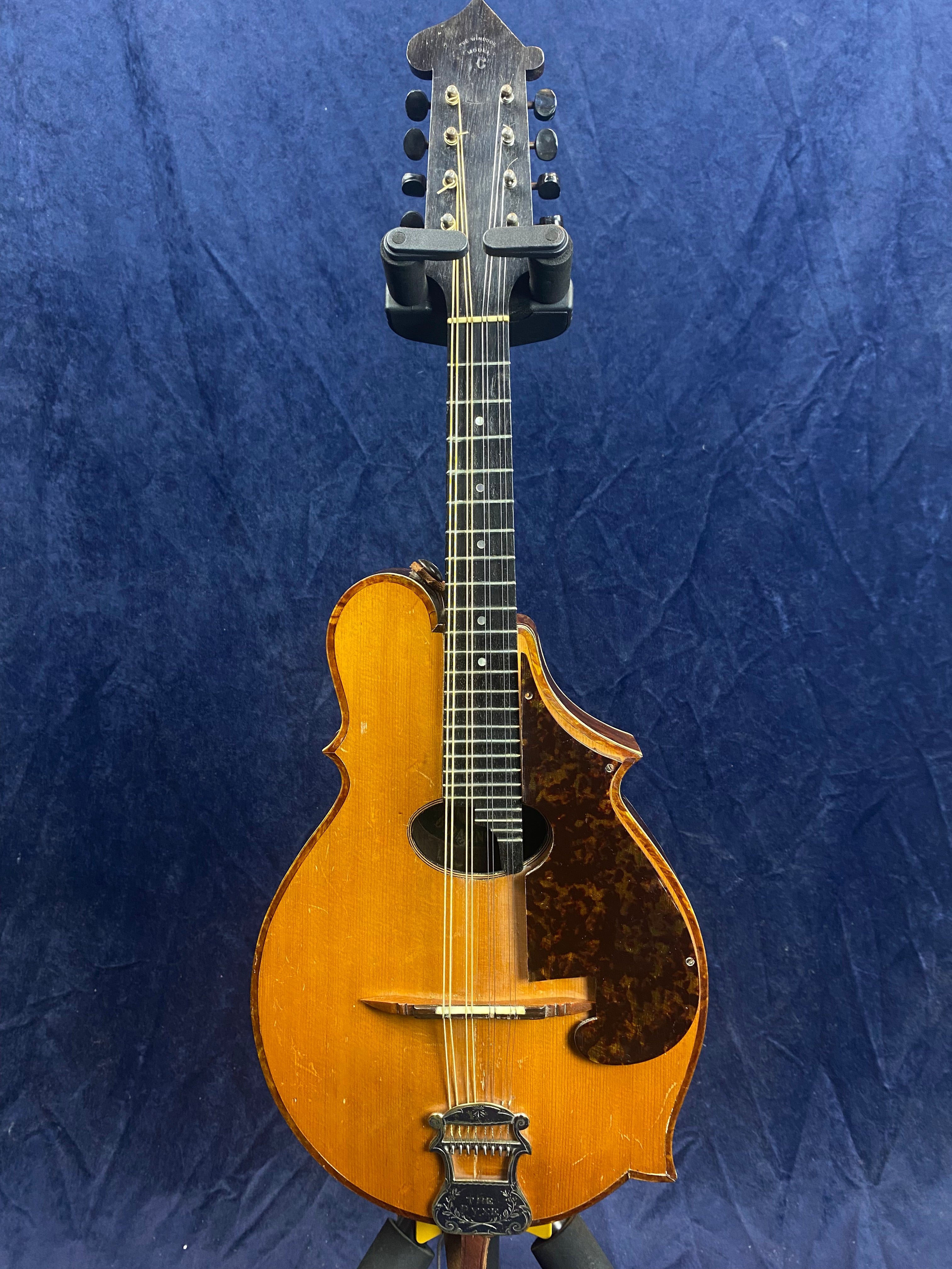 A vintage wooden mandolin with eight strings, a dark pickguard on the right side, and an ornate metal tailpiece, shown against a dark blue background.