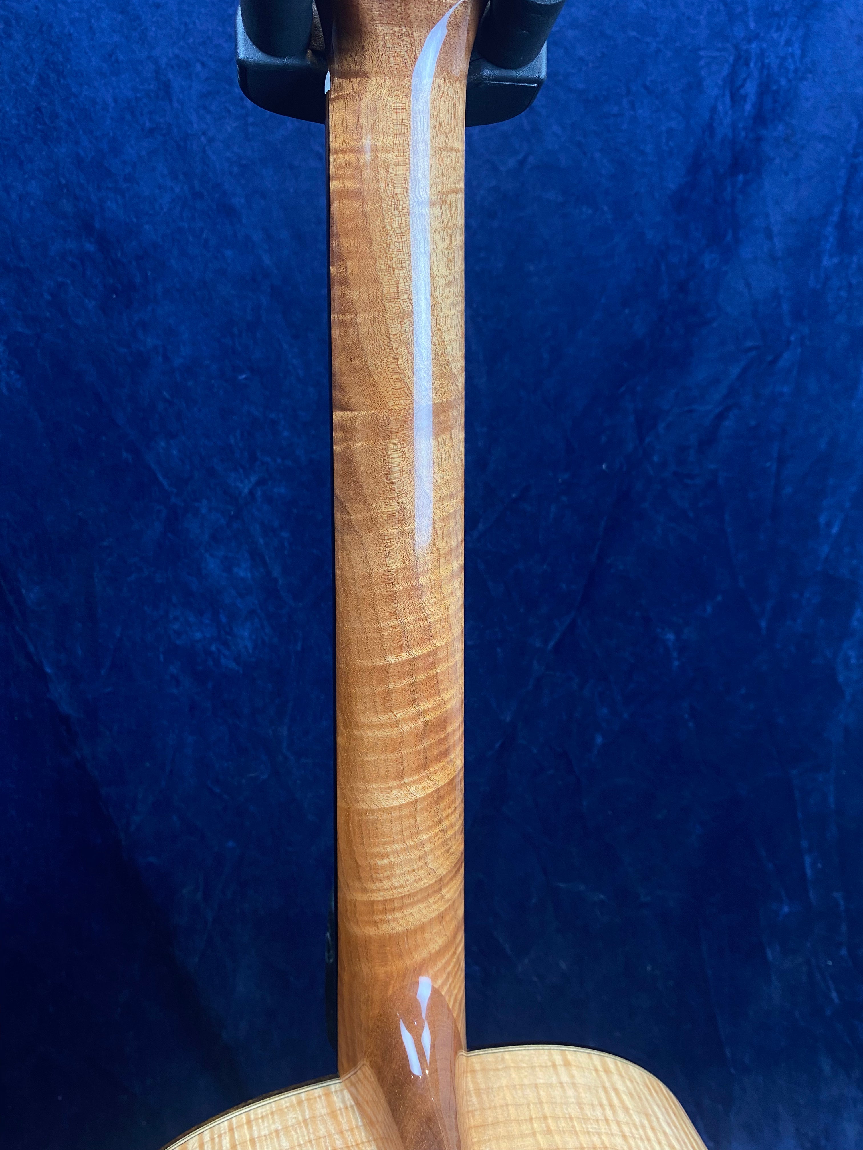 Curly maple neck of an acoustic guitar shown from the back, with a glossy finish and light reflection, against a dark blue textured background.
