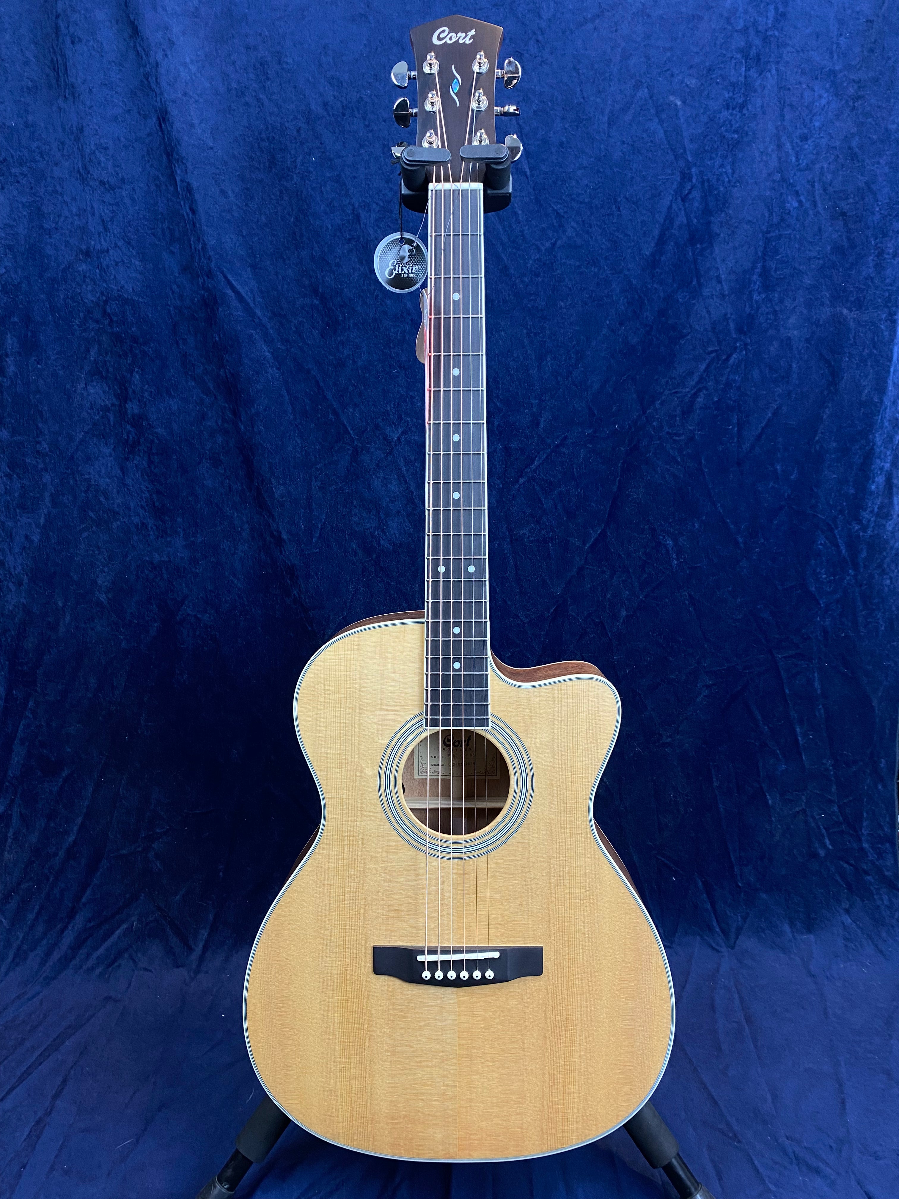 Light wood acoustic guitar with cutaway body, dark fretboard, and six strings, standing upright on a stand against a dark blue background.