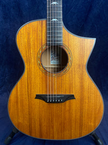 Cutaway acoustic guitar with a glossy wood grain finish, abalone rosette, black bridge, and bird-shaped inlays on the fretboard.