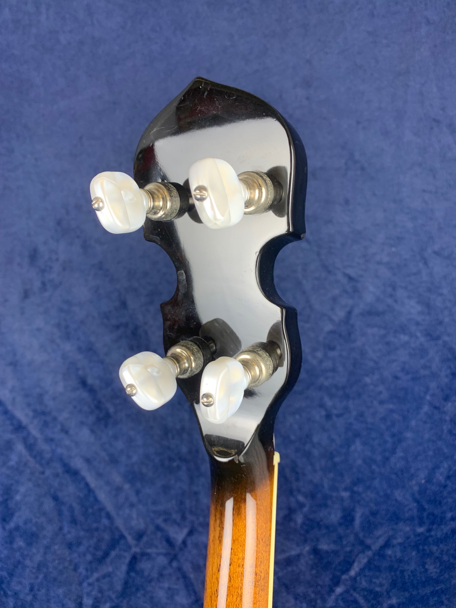 Headstock of a vintage stringed instrument, likely a banjo, with four white tuning pegs and a glossy black finish against a blue background.