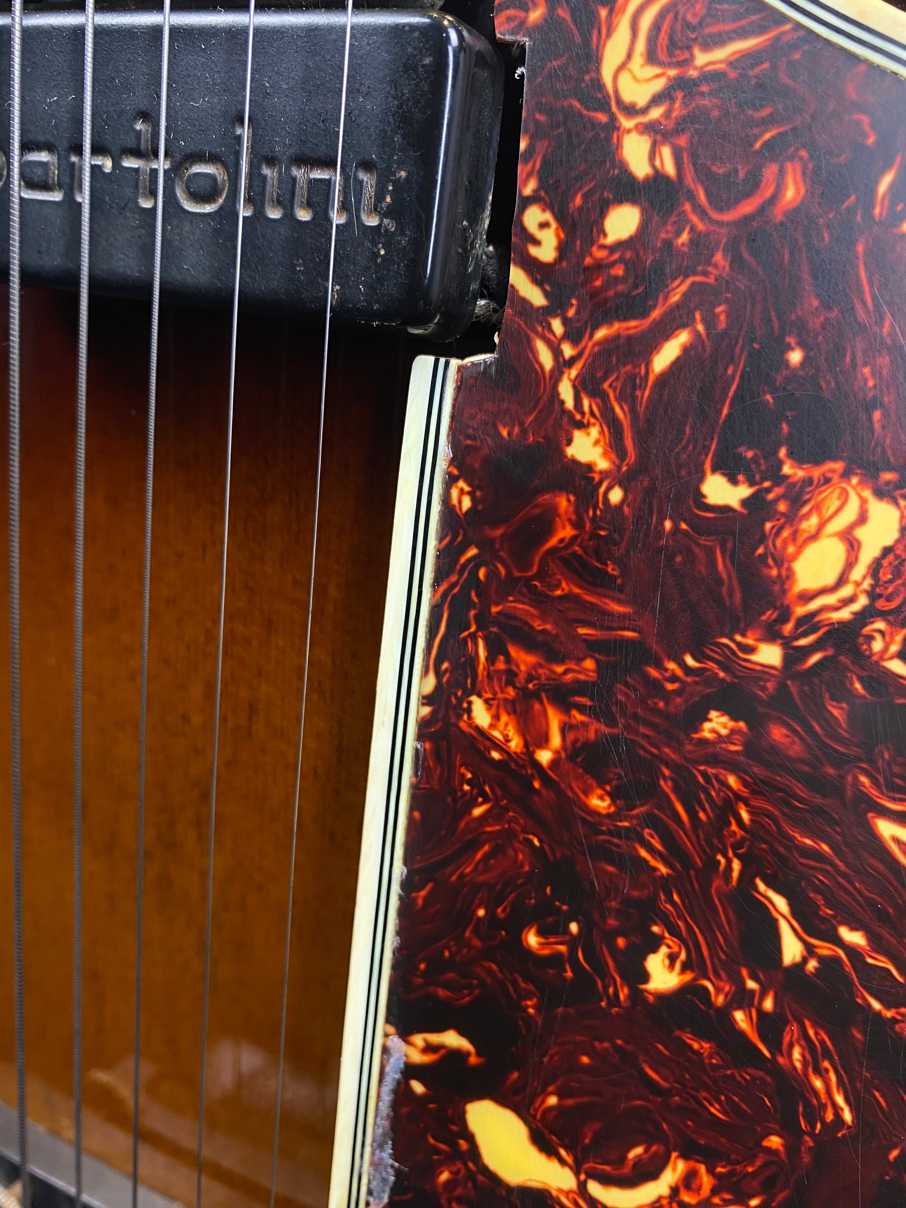 Close-up of an electric guitar showing metal strings, a black Bartolini pickup, and a tortoiseshell-patterned pickguard with cream binding.
