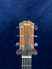 Taylor 110 Dreadnought Acoustic in Natural Dolly Parton Signed Pre-owned