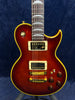 Aria Pro II PE-F80 Electric Arch Top in Sunburst Pre-owned