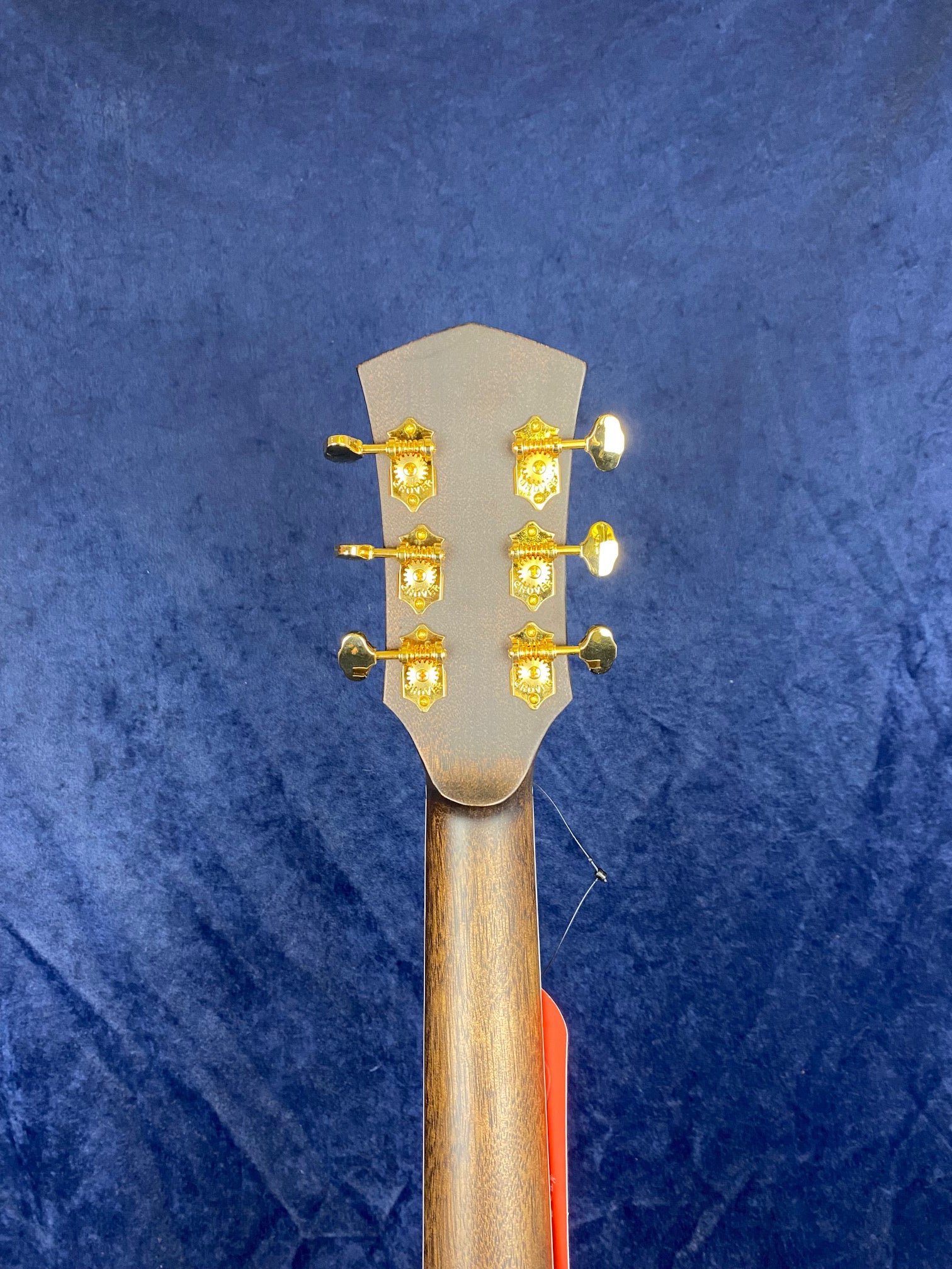Back of an acoustic guitar headstock with six gold tuning pegs, attached to a dark wood neck, set against a blue background.