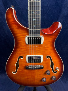 Sunburst electric guitar with dual humbucker pickups, two f-holes, three control knobs, and bird-shaped inlays along the fretboard.