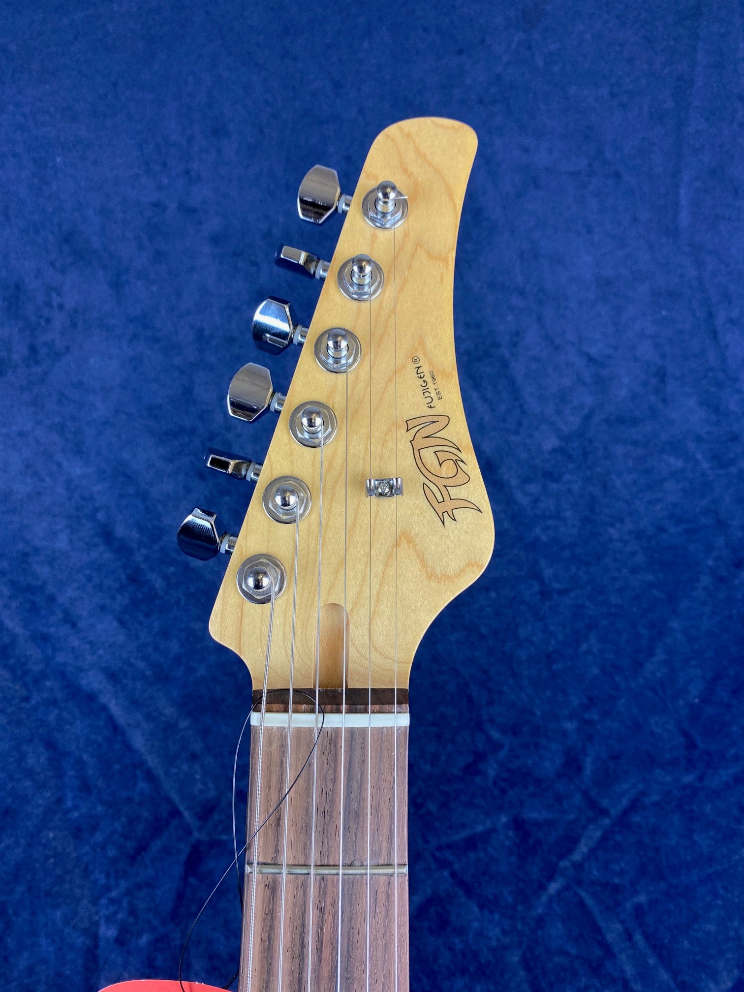Six tuning pegs on a natural wood electric guitar headstock, FGN logo visible, set against a dark blue background.