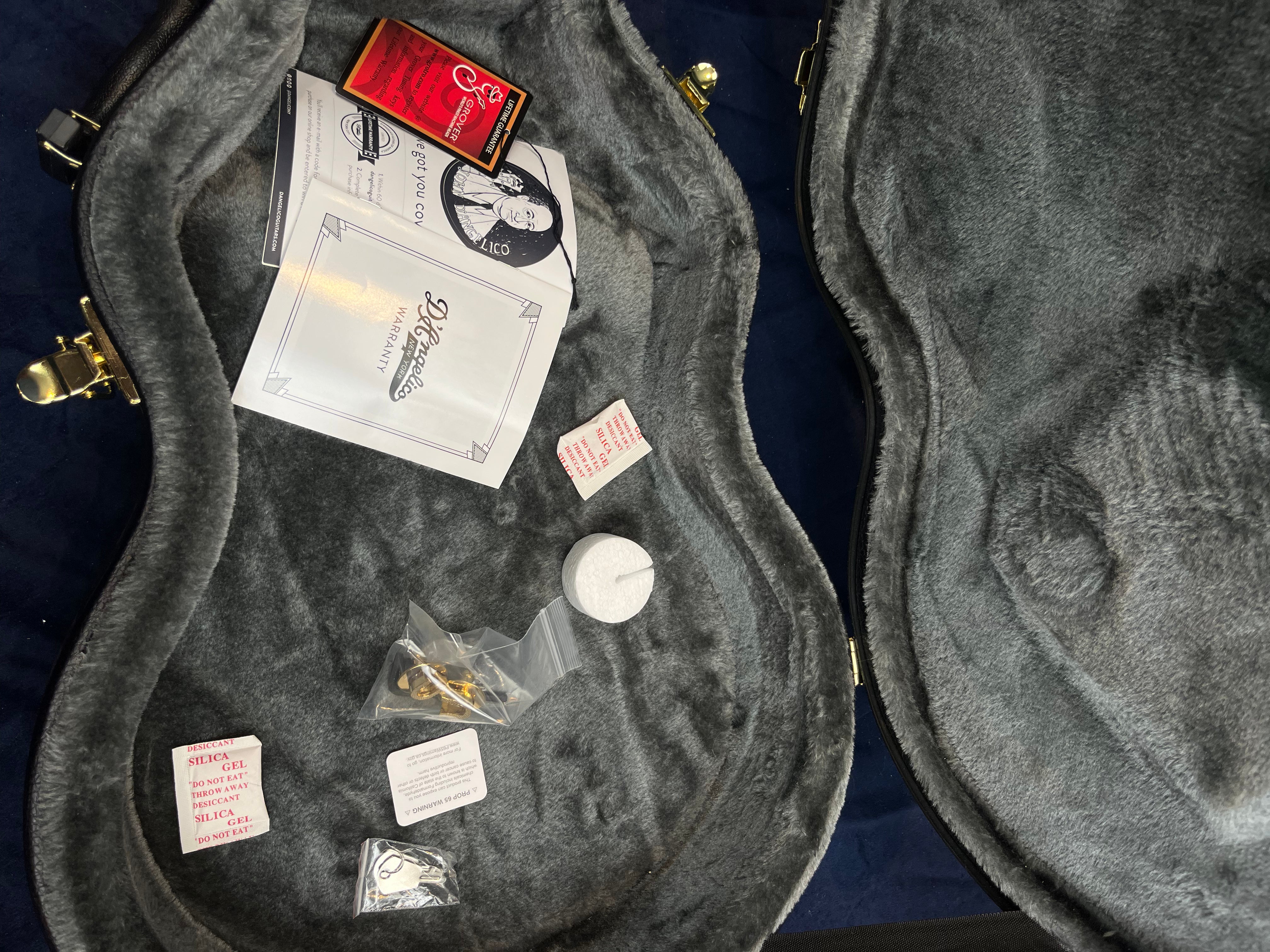 Electric guitar case lined with gray plush holds warranty papers, silica gel packets, a packet of strings, gold hardware bag, and a truss rod tool.