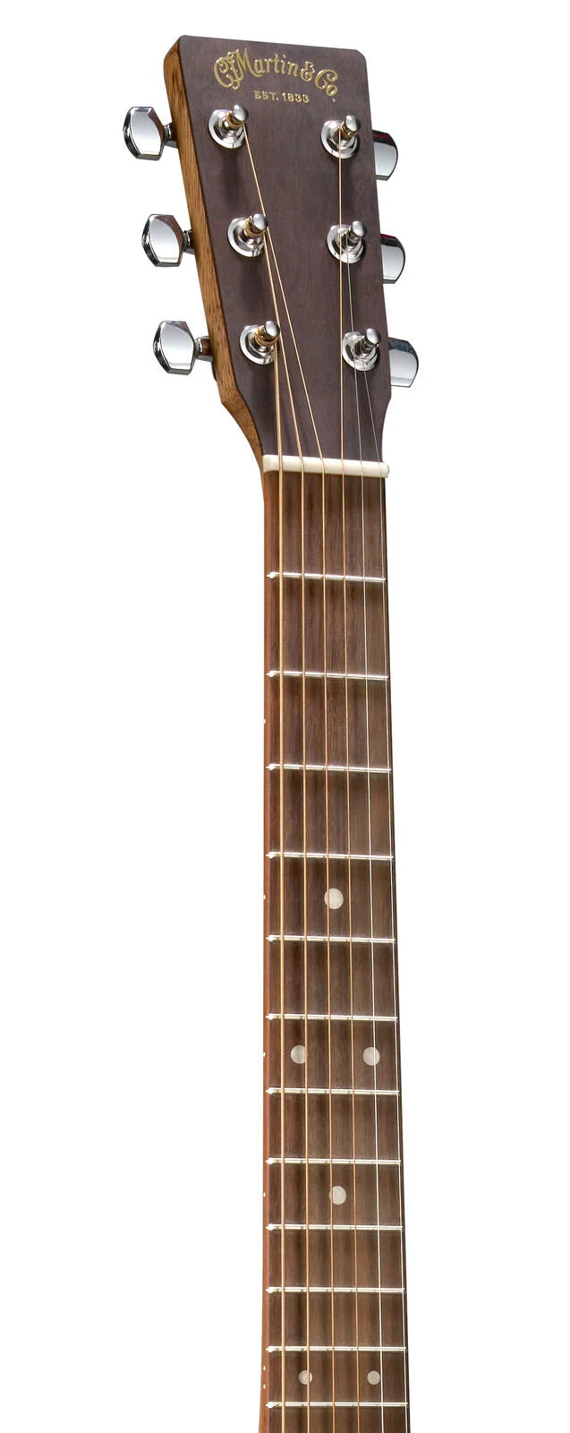 Martin & Co acoustic guitar headstock and upper fretboard shown, with six tuning pegs and metal strings, dark wood finish and dot fret markers.