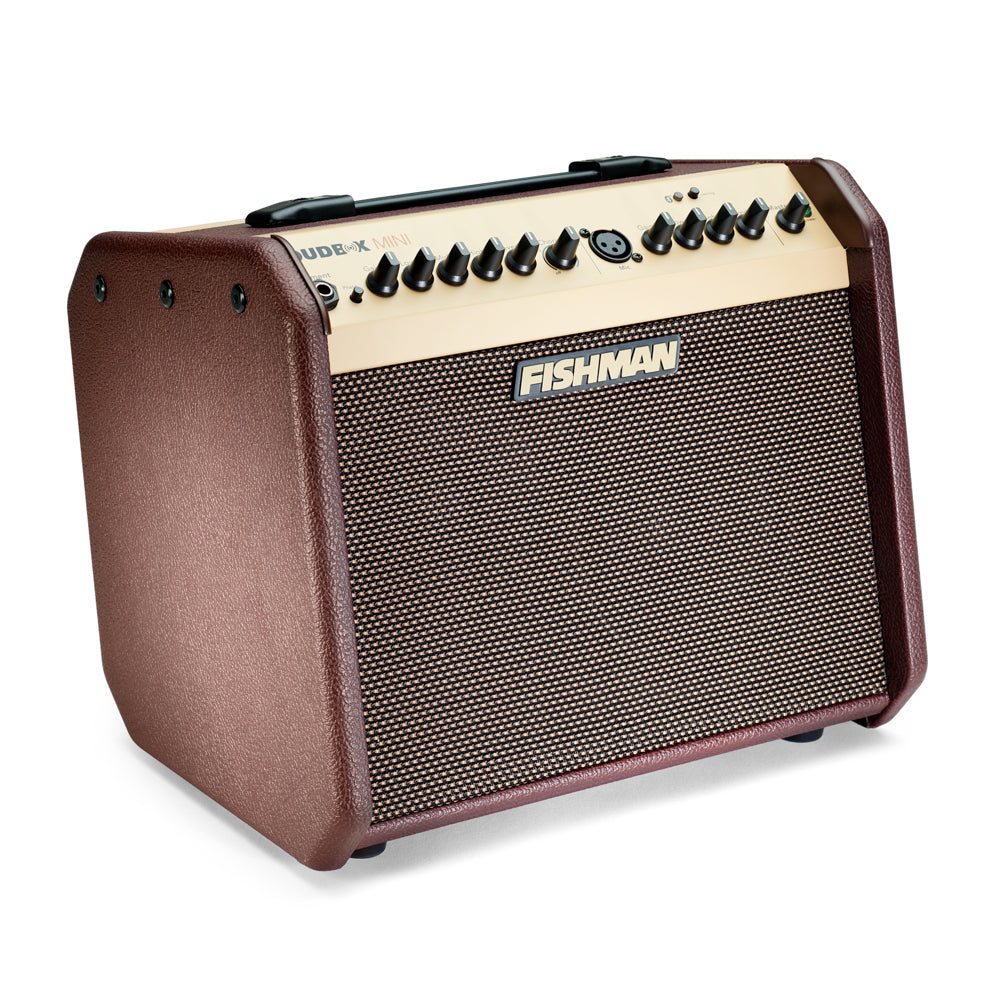 Brown Fishman amplifier with a tan control panel, black knobs, top handle, and mesh front grille displaying the Fishman logo.