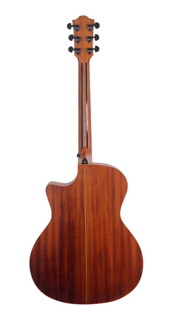 Back view of an acoustic guitar with a cutaway, rich brown wood grain, black tuning pegs, and a lighter stripe running down the center of the body.