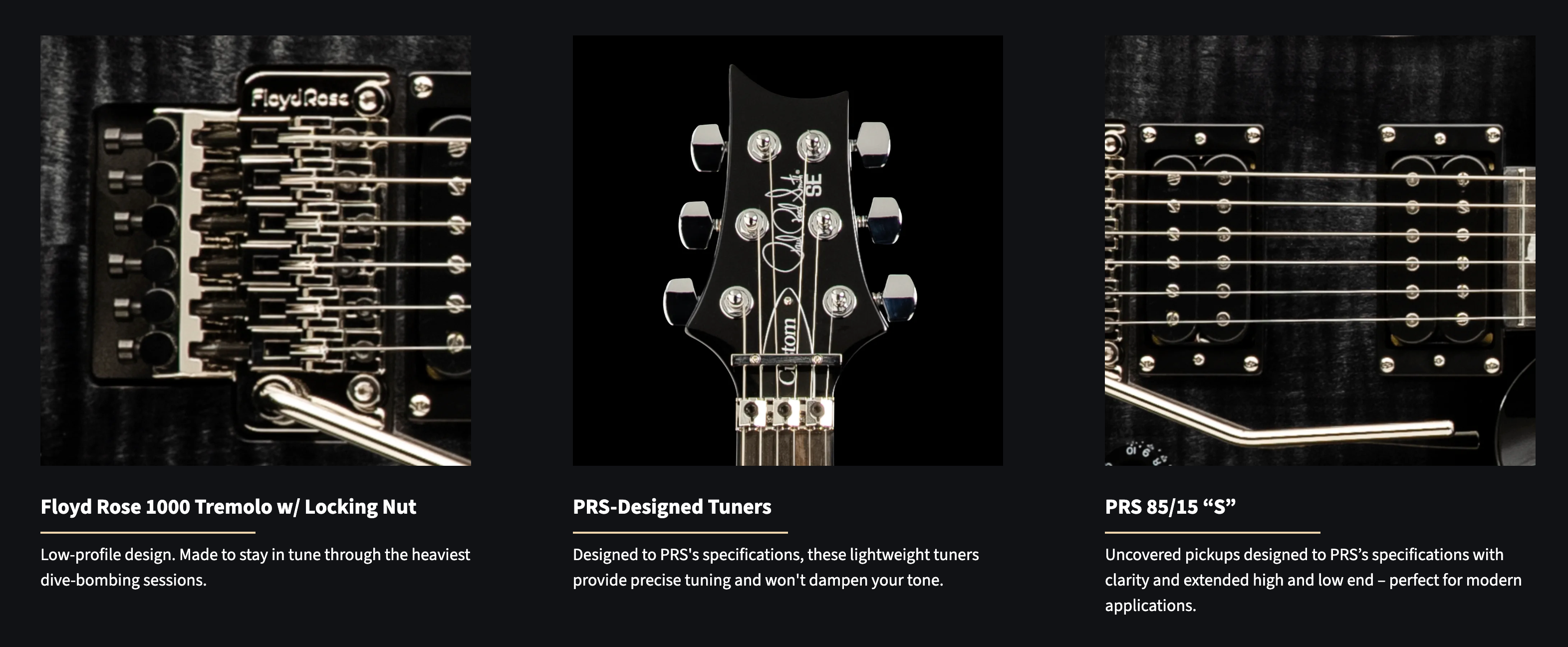 PRS SE Custom 24 Floyd in Charcoal Burst with Gig Bag