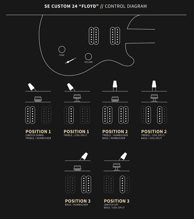 PRS SE Custom 24 Floyd in Charcoal Burst with Gig Bag