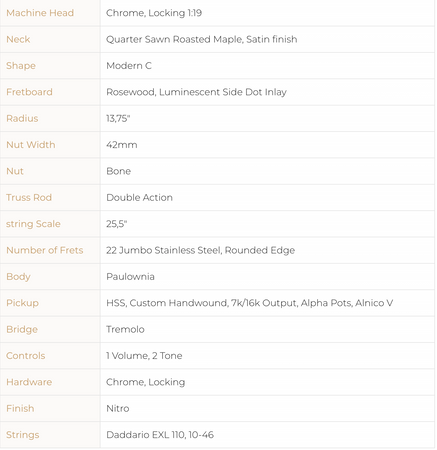 Patina PS-4 S-Type Electric Guitar in Black