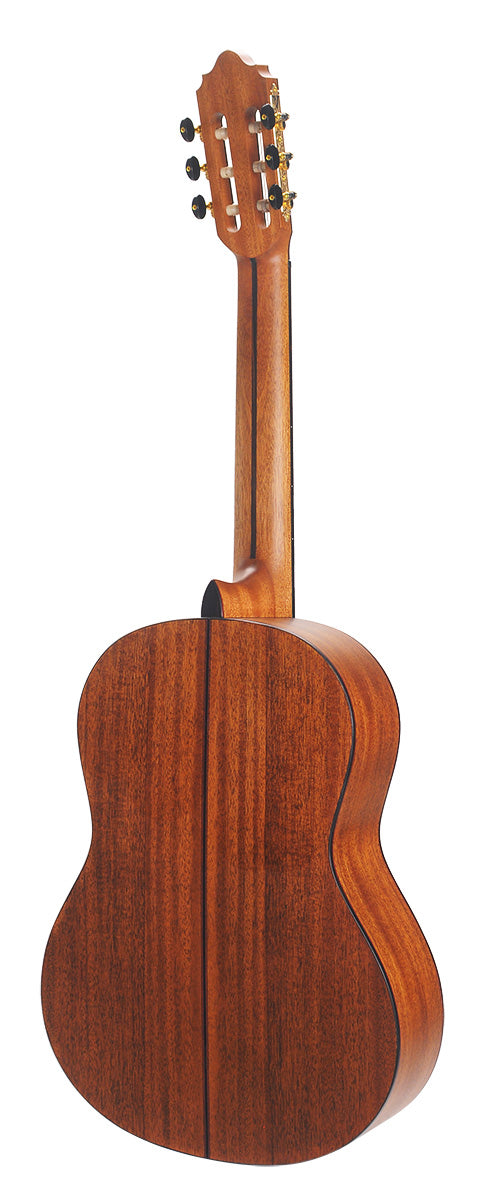 Back view of a classical guitar showing smooth, polished wood with a dark center seam and six tuning pegs on the headstock.